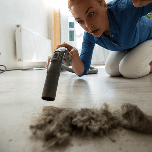 Evdeki Gizli Tozlar Nerelerde Birikir? : Kapak Görseli